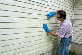 Affordable Siding Repair and Maintenance Services in Southmayd, TX